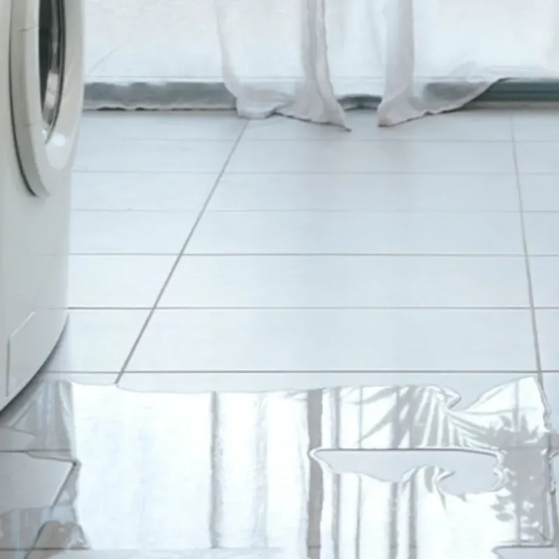 Appliance Leak Cleanup in Wapello, IA