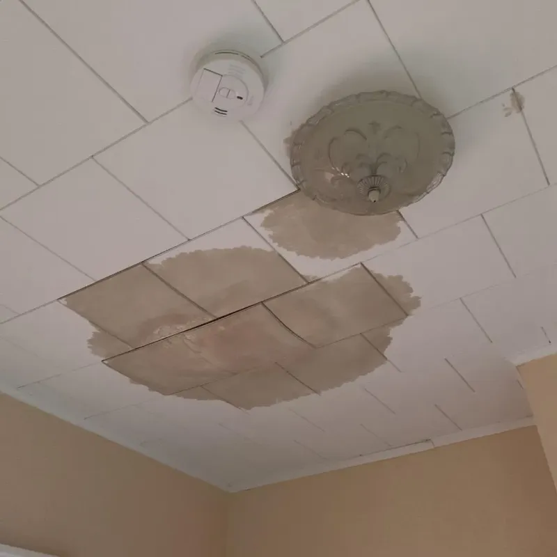 Ceiling Water Damage Repair in Wapello, IA