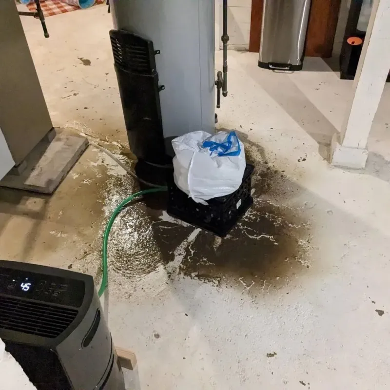 Sewage Backup Cleanup Service in Wapello, IA